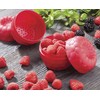 Hutzler Raspberries To-Go Snack Container Bento Box
