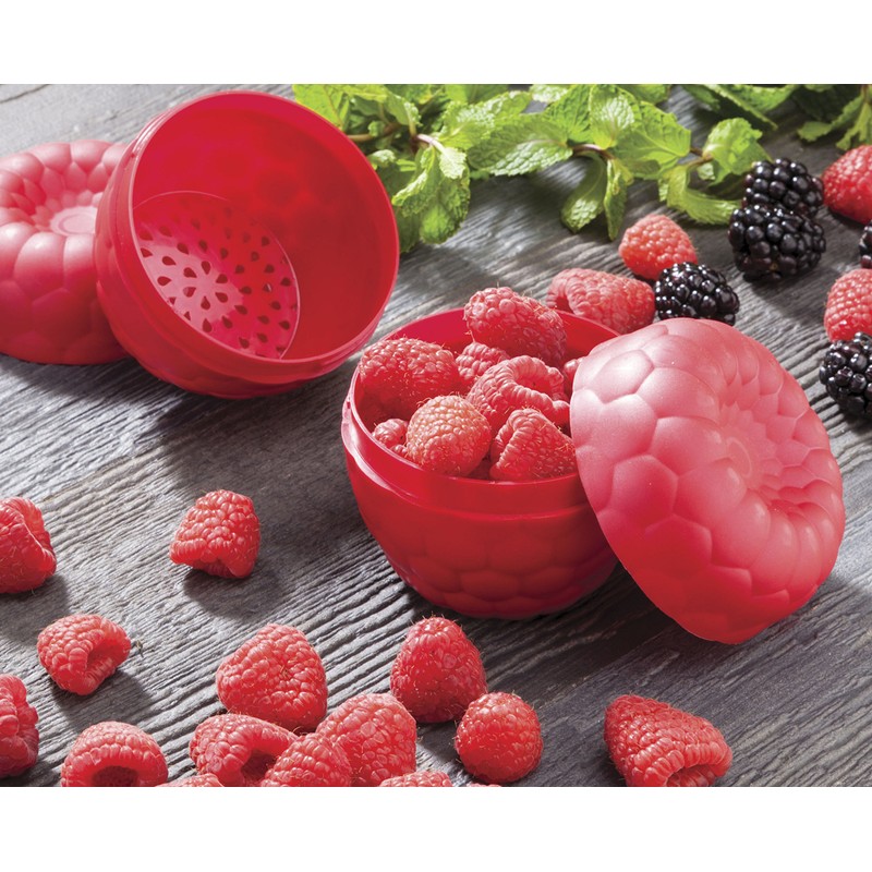 Hutzler Raspberries To-Go Snack Container Bento Box