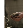 Organic Super Soil Concentrate 1lb ORIGINAL SUPER SOIL CONCENTRATE for