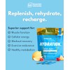 Essential Elements Hydration Packets - Blue Raspberry Pack - Sugar