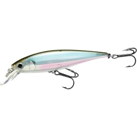 LUCKY CRAFT Pointer 78SP, Fishing Jerkbait Side by Side Action Bait, Tournament Winning Perfect Wobbling Pond Fishing Tackle (410 MH Ghost Minnow)