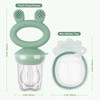 Haakaa Baby Fruit Food Feeder & Mini Freezer Nibble Tray