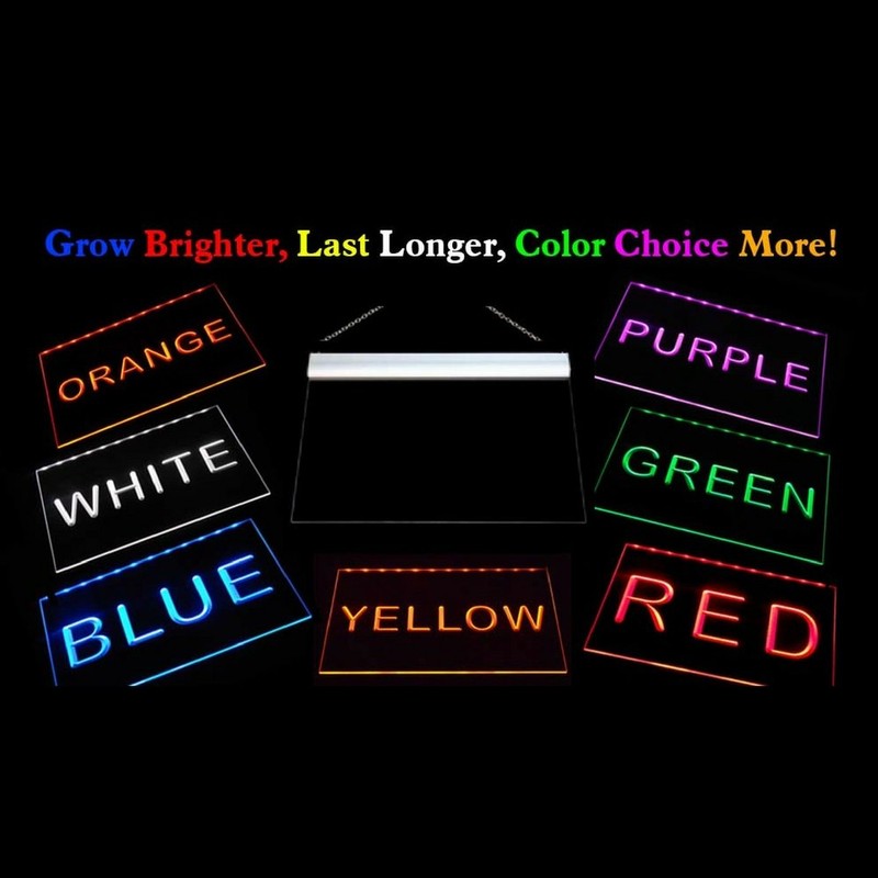 ADV PRO j693-b Gecko Lizard Display Window Neon Light Sign