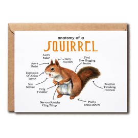 Squirrel Card - Anatomy Squirrel Card - Unique Squirrel Greeting Card - Squirrel Note Card - Animal Card - Squirrel Birthday Card