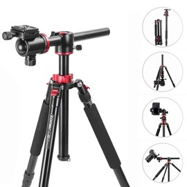 ZOMEi 75'' Tripod,Camera Tripod for DSLR,Ball Head Tripod Professional Tripods 4 Section Horizontal Tripod with 360 Degree Ball Head Plate for Canon DSLR DV Scope Camcorder and Projector