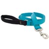 Lupine Padded Handle Dog Leash 1" wide Aqua 4-foot Long