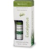 SpaRoom AROMATHERAPY 100% Pure Essential Oil, Eucalyptus 10ml, NEW!