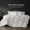 sleeprove Noiseless King Size Down Comforter,Medium Weight All-Season Duvet Insert