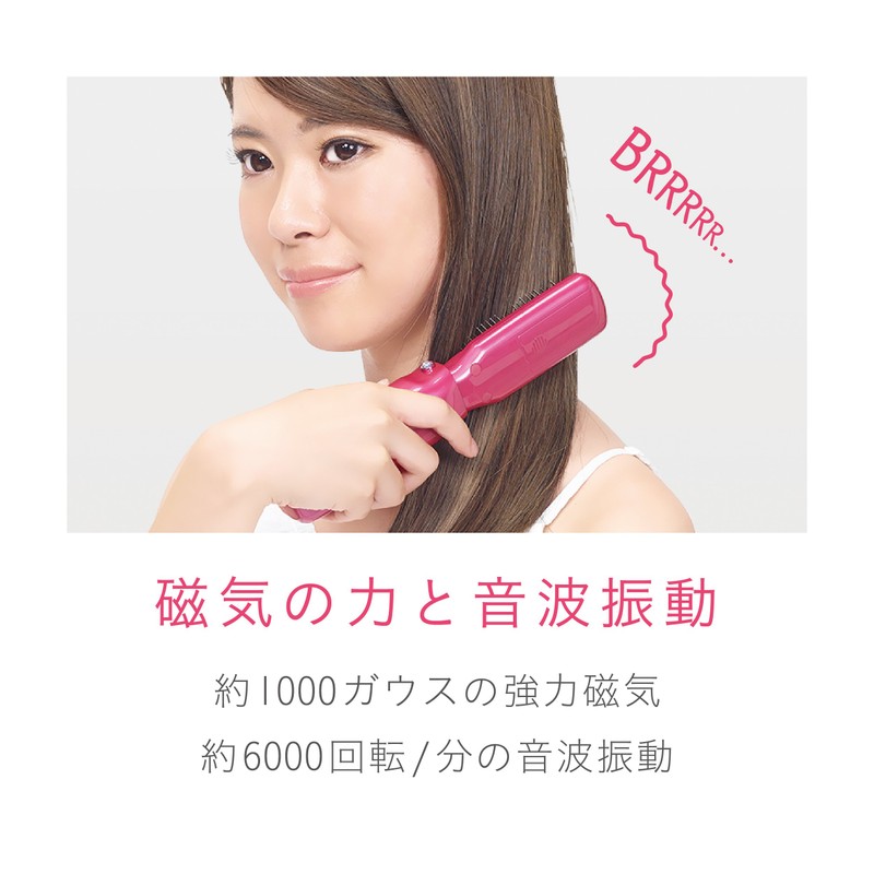 Koizumi Reset Brush