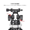 SWFOTO DT-03R 2-Way Pan Clamp, Monopod, 2-Way Head, Arca Switzerland