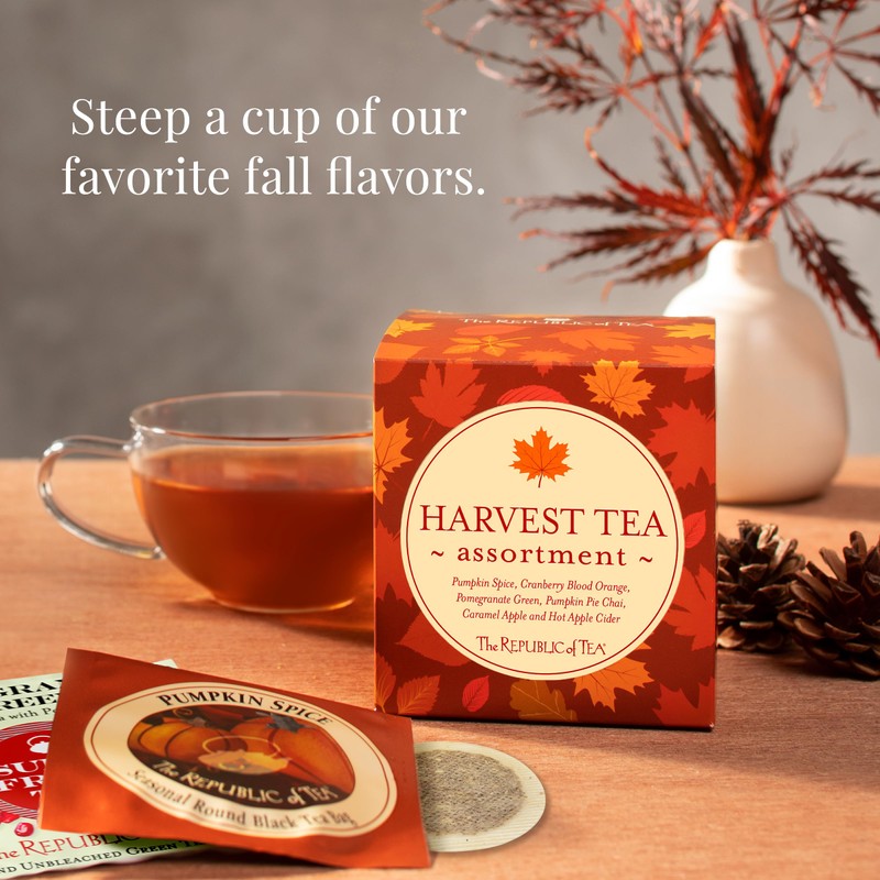 The Republic of Tea: Fall Harvest Tea Assortment Cube, 24
