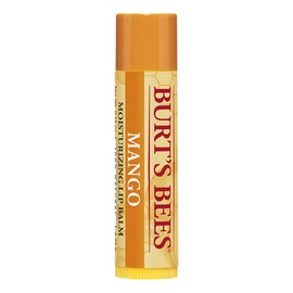 1 Blistex Mint Lip Balm 4.25g / 블리스텍스 민트 립밤 4.25g 1개