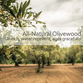 Redecker Maple Pin Wooden Hairbrush with Waxed Olive Wood Handle, 8-1/8-Inches