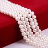 Natural Pearl Beads Cultured Freshwater Round Punch Pearl Loose Beads