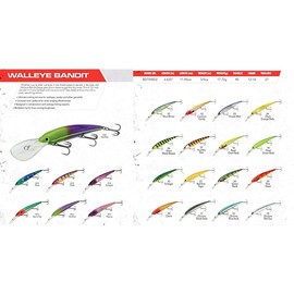 Band-It Walleye Shallow Minnow Jerkbait Fishing Lure, Fishing Accessories, Dives ro 12-feet Deep, Fire Tiger, 4.5 Inch, 5/8 Ounce, (BDTWBS120)