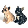 Lesser & Pavey Salt & Pepper Set for All Types