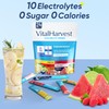 VitalHarvest 24 Sticks Electrolytes Powder Packets 6 Flavors Sugar Free