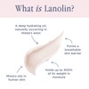 Lanolips Lip Water - Hydrating Lanolin Lip Serum with Hyaluronic