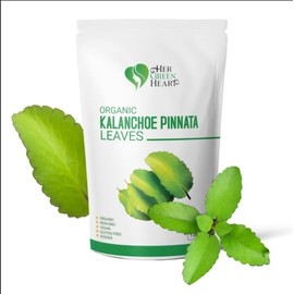 Kalanchoe Pinnata Leaves Herbal tea - 100% Pure, Dried Leaves for Culinary, Tea, and Herbal Uses