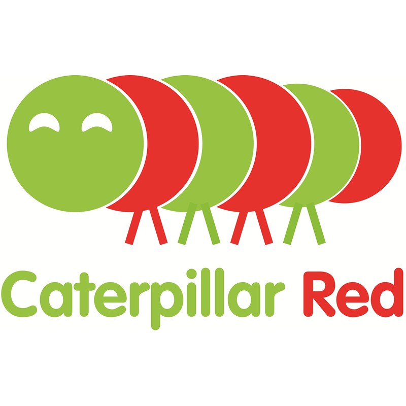 Transparent Clear Plastic Acrylic 300mm, 12", Continuous Piano Hinge Hinges