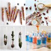 Samcos Test Tube PS Plastic Container Set of 10 with