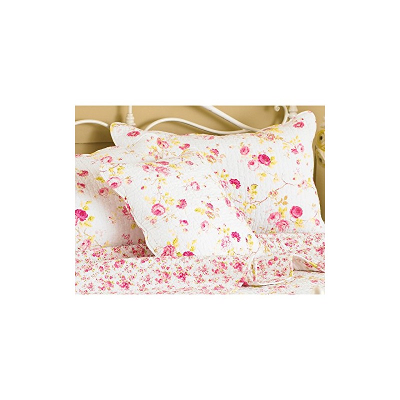 Riva Paoletti Honeypotlane White Pillow Shams, Singles, Cotton