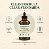 Lymphatic Drainage Drops, Fluid Balance & Immune Support, 4 Fl