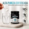 Oby Creatina Monohidratada Micronizada en Polvo | 100% Alta Pureza