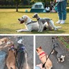 WENJION No Tangle Dog Leash Coupler,Adjustable Dual Dog Lead Splitter,