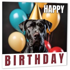 Great Dane Birthday Cards 147 x 147mm Cute Happy Birthday Card