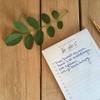 Set of 3 Organiser To-Do Pad - A6 Recycled Paper
