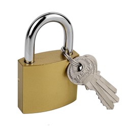 1 Pcs Small Keyed Padlocks, 1.25 Inch (32 mm) Locker Lock with Keys for Luggage Locks Gym Locker Toolbox (1.25Inch)