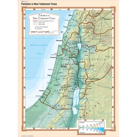 Cool Owl Maps - Palestine in New Testament Times - Wall Map Poster (24x32 Laminated)