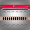 Harmonica Professional C Major Blues Harmonica Diatonic 24-Hole with Case