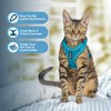 Voyager Escape Proof Cat Harness and Leash Set with Reflective