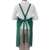 eXcolor GA5285 Apron Task L Twill Antistatic Apron in 6