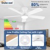 Dolavast Ceiling Fans with Lights and Remote, 48 Inch Ceiling