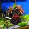 NOLITOY Aquarium Decorations Volcano Landscape Fish Tank Bubbler Ornaments for