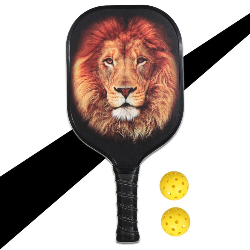 LEIJIAER Pickleball Paddle Set Carbon Fiber Face Racket with 2Pcs