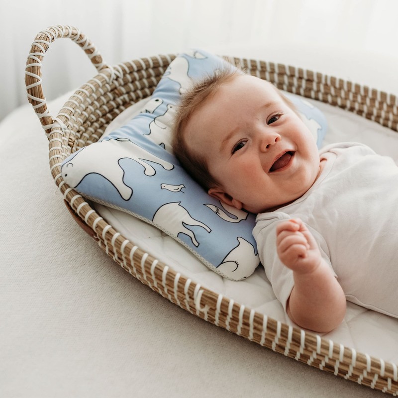 Stork Drop - Flat Head Baby Pillow | Prevents &