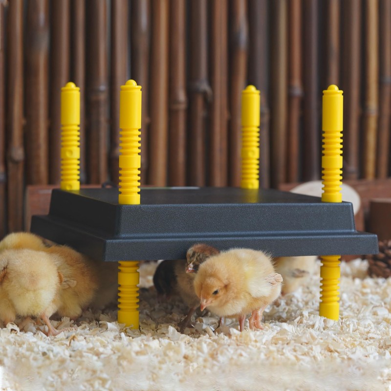 Eggluuz Chick Brooder Heating Plate, 12" x 12" Brooder Heater