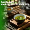 Magneta Moringa Tea - Easy to Drink Made in India