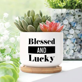DecStic Blessed and Lucky Planters Ceramic Quote Sayings Round Plant Pots with Drainage Holes and Bamboo Tray Pot for Home Office Desk Garden