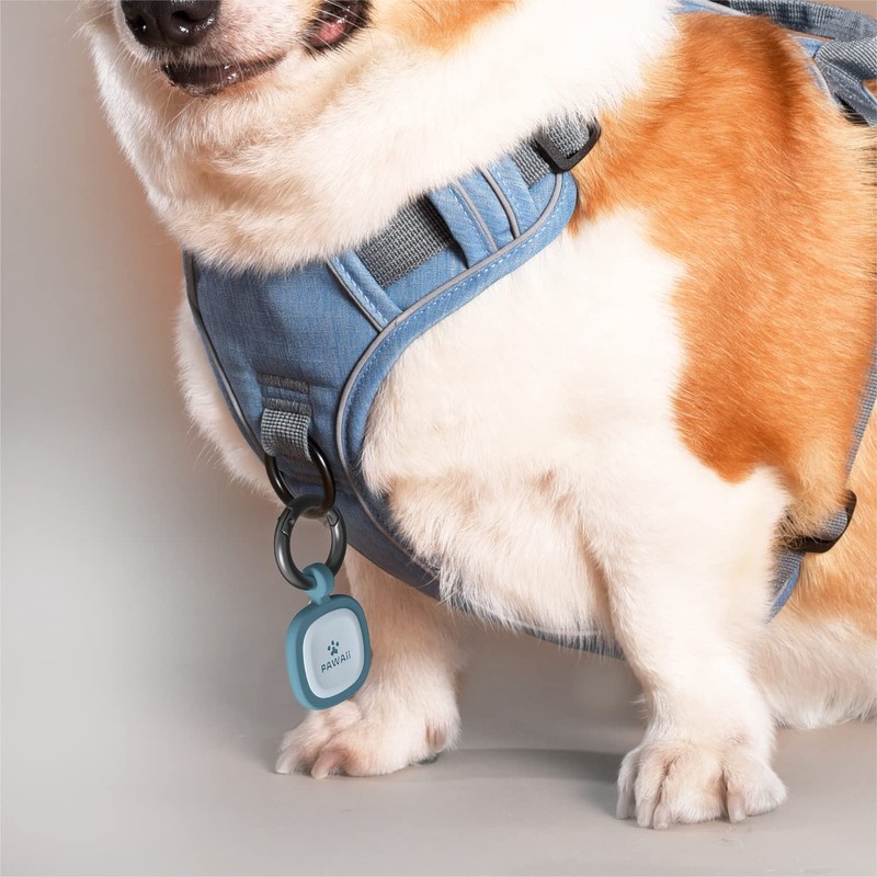 Pawaii Silent Silicone Dog ID Tag, Modifiable Pet Online Profile