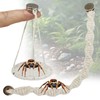 Jumping Spider Rope Bridge Swings with Magnets, Magnetic Jumping Spider
