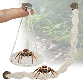 Jumping Spider Rope Bridge Swings with Magnets, Magnetic Jumping Spider Enclosure Accessories Handmade Braided Accessories for Pet Tiny Animal(White)