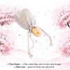 Tan Mujiang Hair Care Comb Massage Comb Hair Care Comb