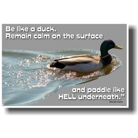 "Be Like a Duck. Remain Calm on the Surface and Paddle Like Hell Underneath." - Michael Caine Motivational Poster