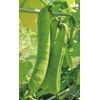Tamba Natsu Bean Tea, Supplements, Set of 180