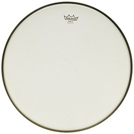 Remo Banjo Head, RENAISSANCE® DIPLOMAT®, 11" Diameter, Low Collar